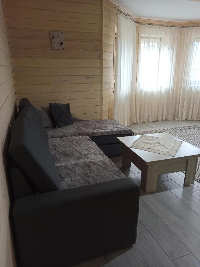 Brand New 2020 Specious Apartment Druzi 2 Palyanytsya Bagian luar foto