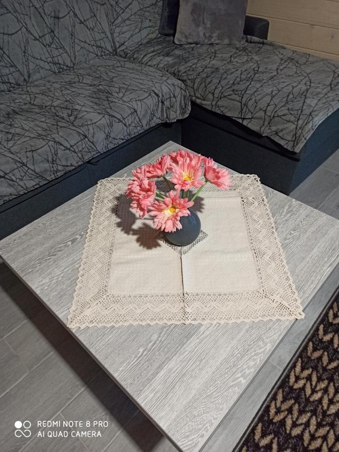 Brand New 2020 Specious Apartment Druzi 2 Palyanytsya Bagian luar foto