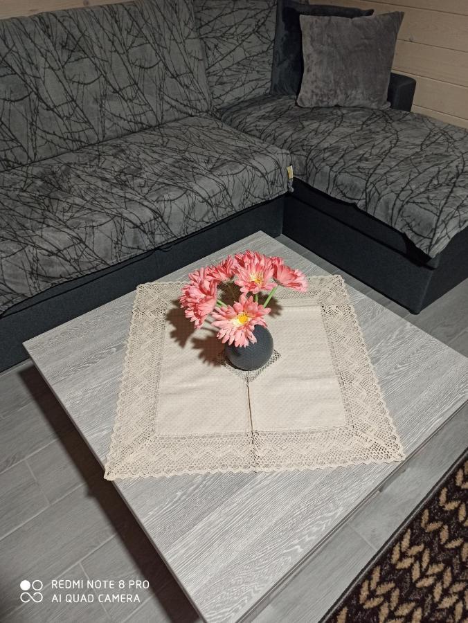 Brand New 2020 Specious Apartment Druzi 2 Palyanytsya Bagian luar foto